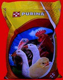  Purina    